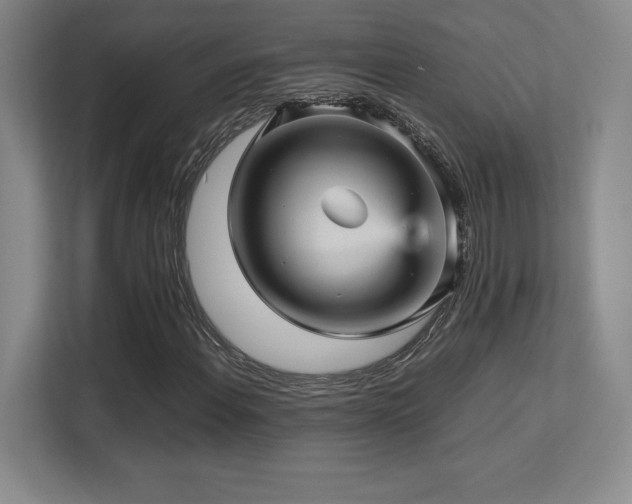 X0000113251108200909101423