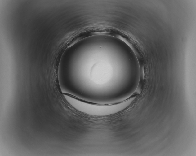 X0000113251110200909101423