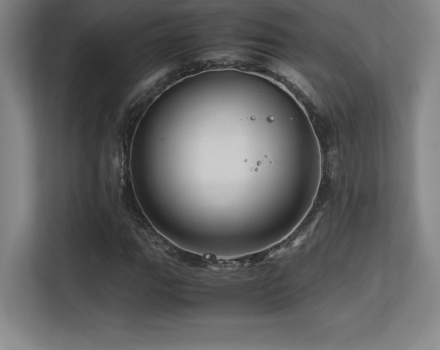 X0000113251111200909101423