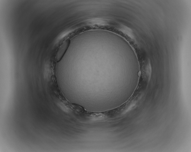 X0000113251112200909101423