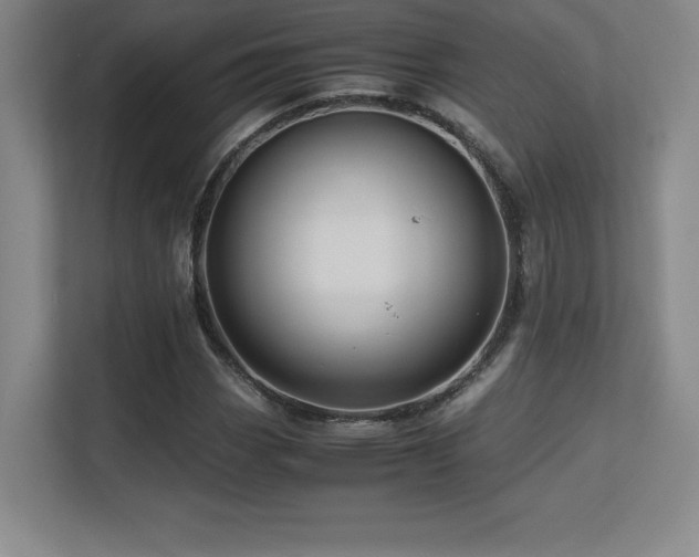 X0000113251113200909101423