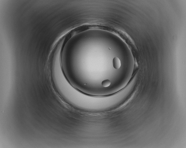X0000113251114200909101423