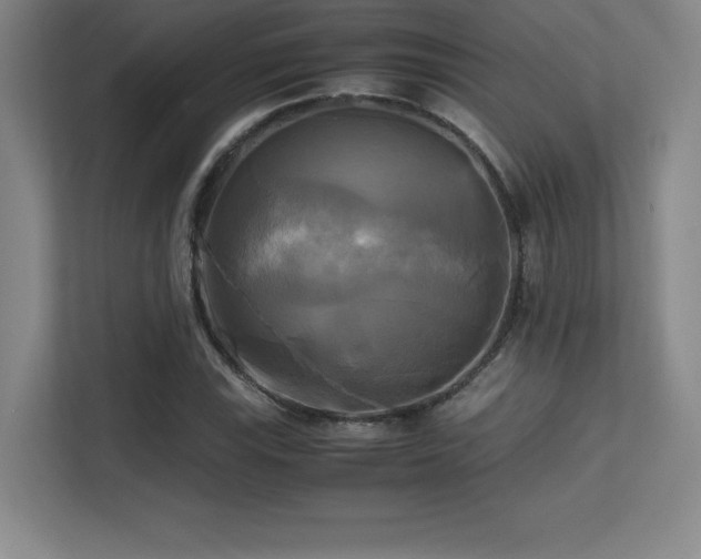 X0000113251115200909101423