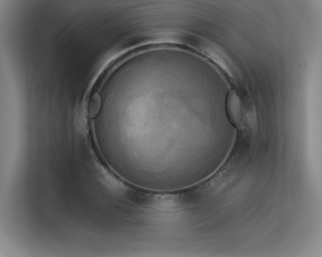 X0000113251116200909101423