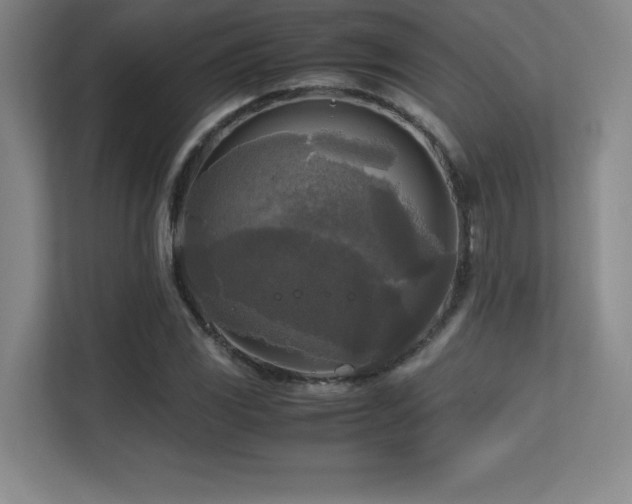 X0000113251117200909101423