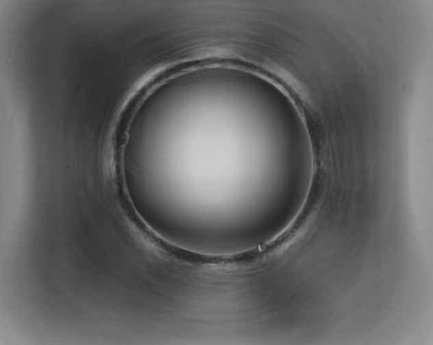X0000113251118200909101423