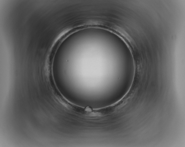 X0000113251119200909101423