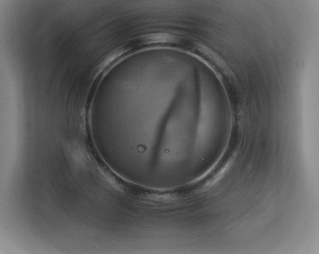 X0000113251121200909101423