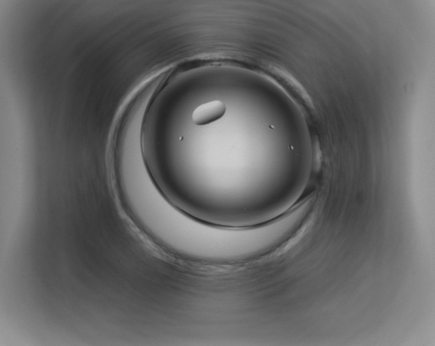 X0000113251122200909101423