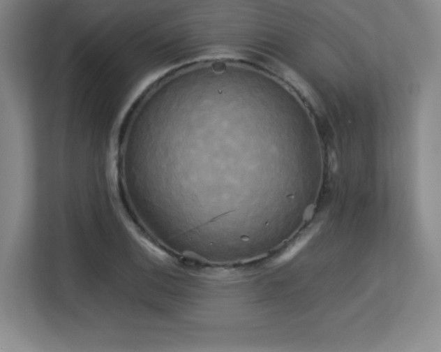 X0000113251124200909101423