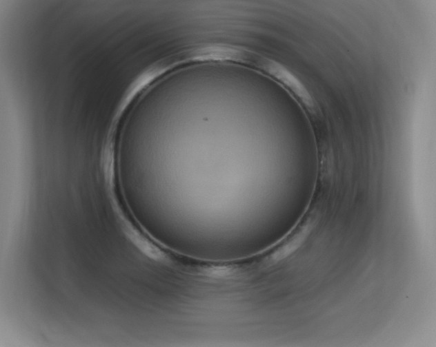X0000113251130200909101423