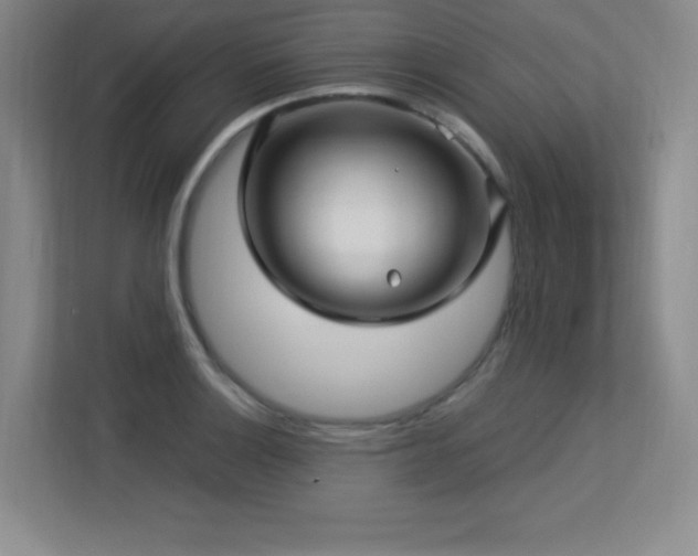 X0000113251132200909101423