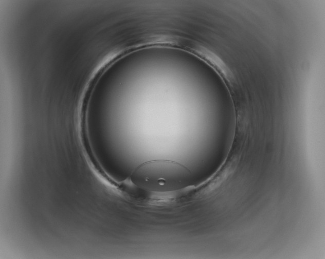 X0000113251135200909101423