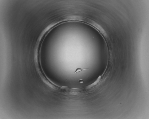 X0000113251136200909101423