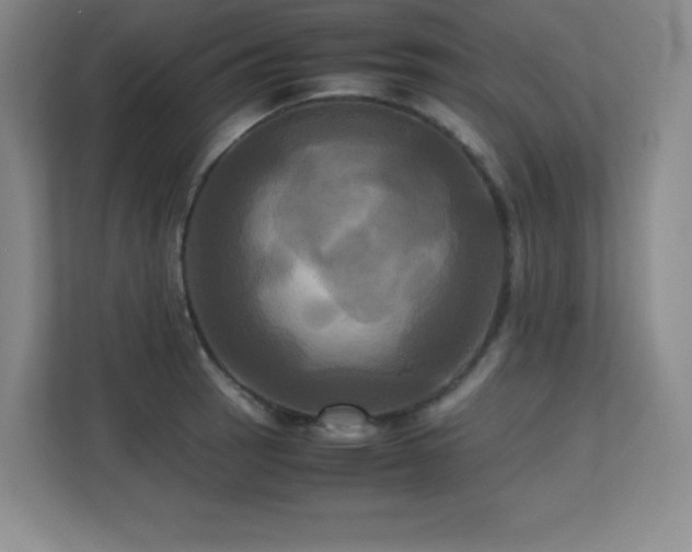 X0000113251137200909101423