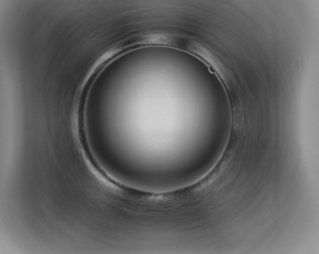 X0000113251139200909101423