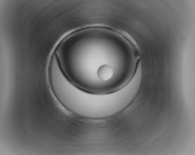 X0000113251140200909101423