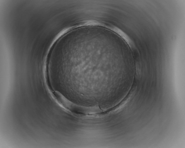 X0000113251142200909101423