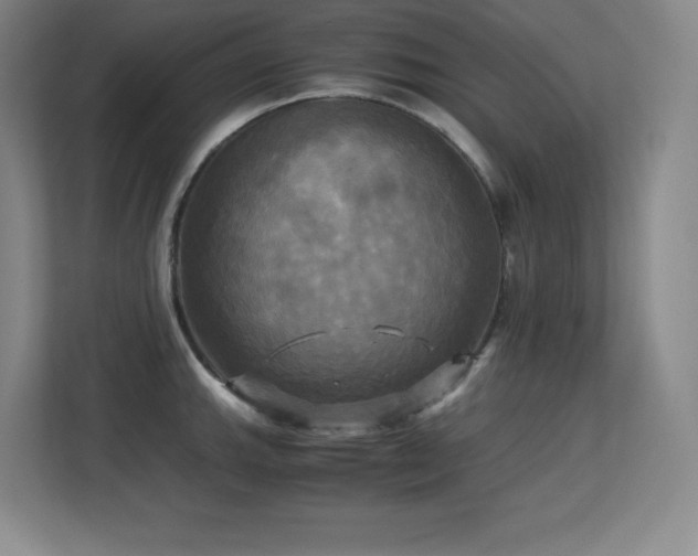 X0000113251143200909101423