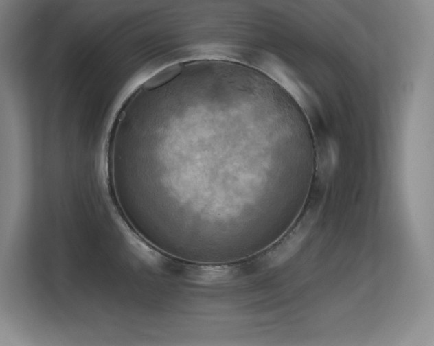 X0000113251144200909101423