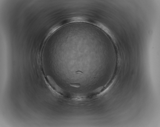 X0000113251145200909101423