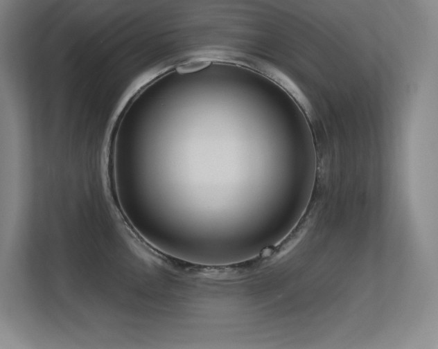 X0000113251146200909101423