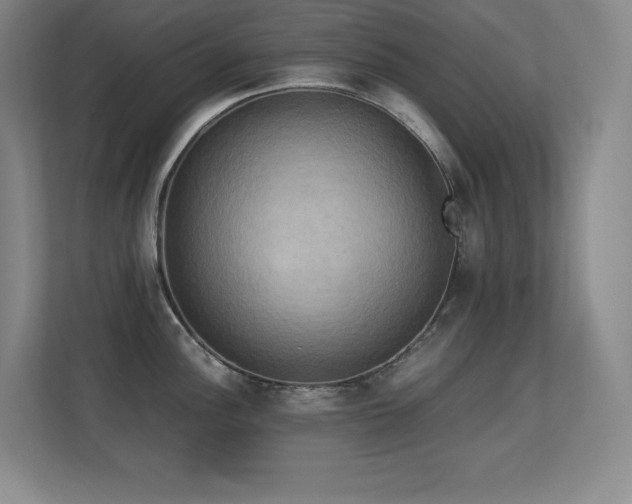X0000113251148200909101423