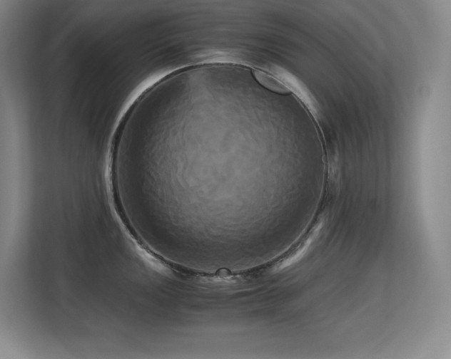 X0000113251149200909101423