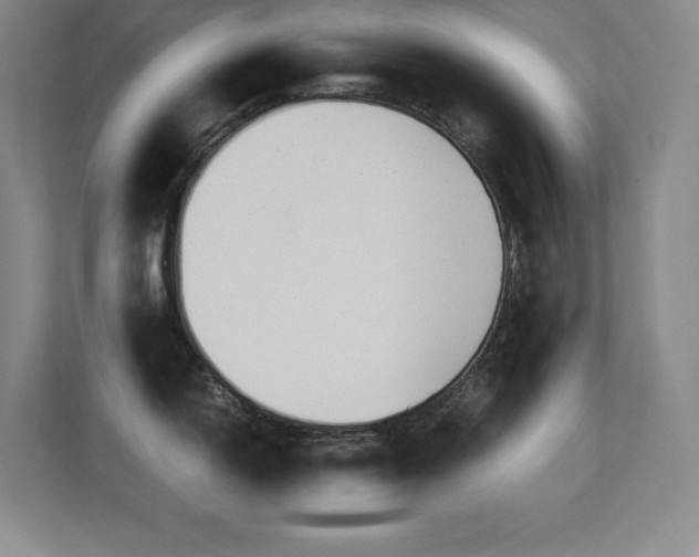 X0000113251150200909101423