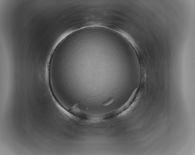 X0000113251151200909101423