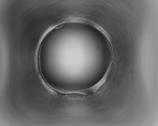 X0000113251152200909101423