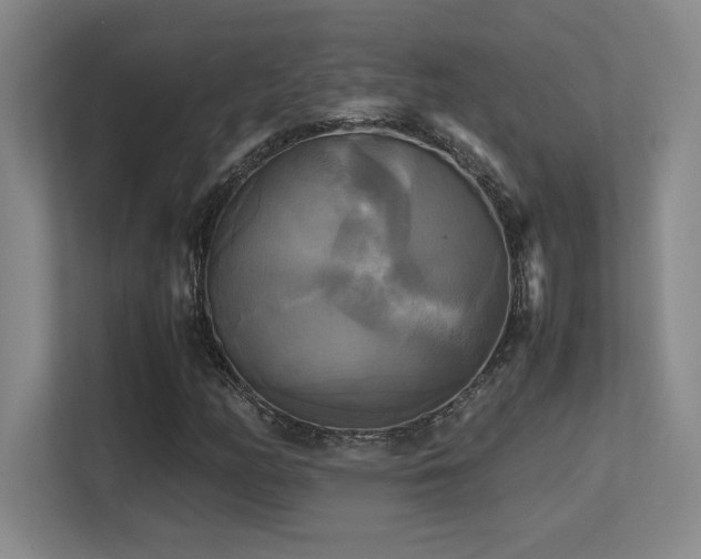 X0000113251158200909101422