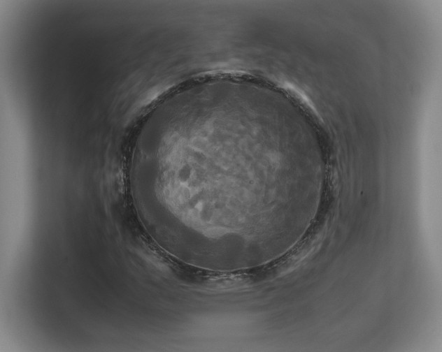 X0000113251159200909101422