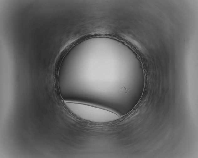 X0000113251160200909101422