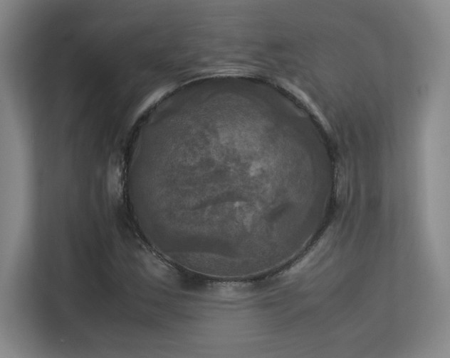 X0000113251163200909101422