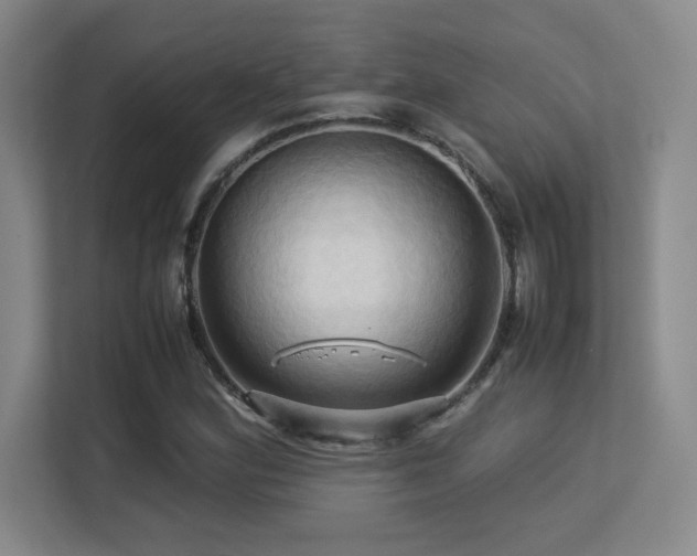 X0000113251164200909101422