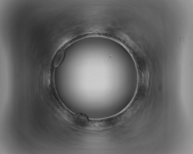 X0000113251165200909101422