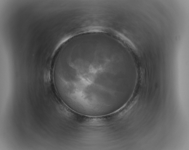 X0000113251166200909101422