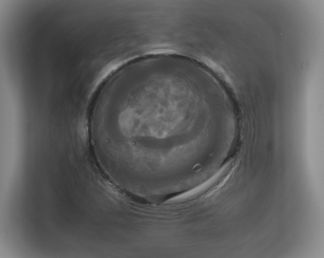 X0000113251167200909101422