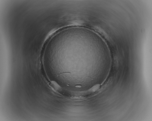 X0000113251168200909101422