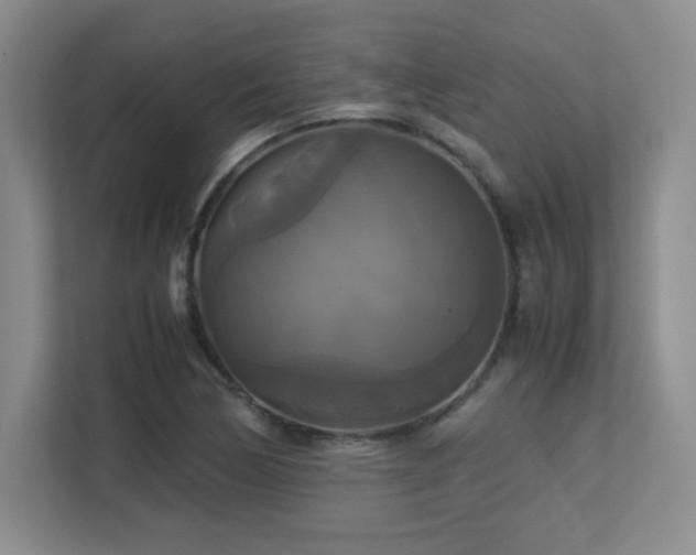 X0000113251170200909101422