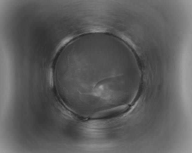 X0000113251171200909101422