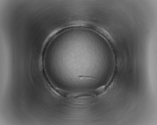 X0000113251172200909101422