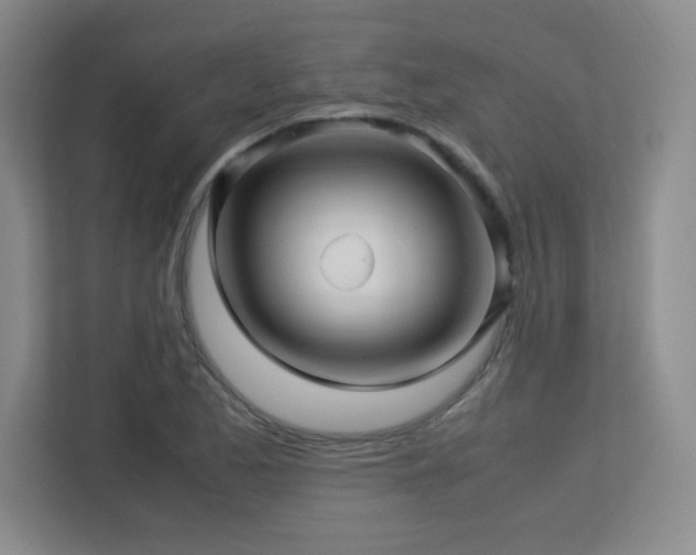 X0000113251173200909101422