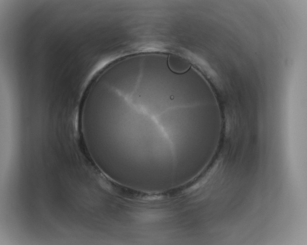 X0000113251174200909101422