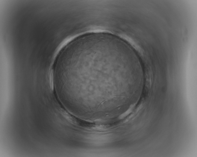 X0000113251175200909101422