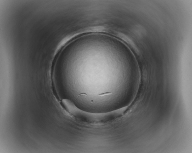 X0000113251176200909101422