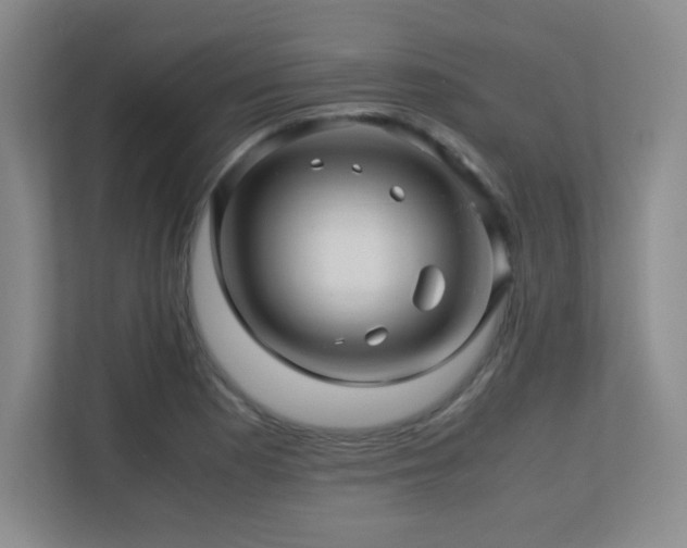 X0000113251177200909101422