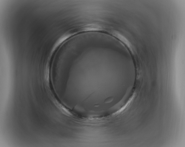 X0000113251179200909101422