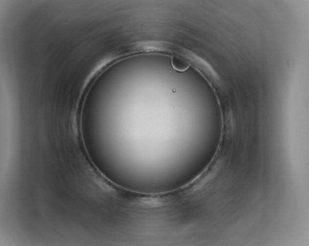X0000113251182200909101422